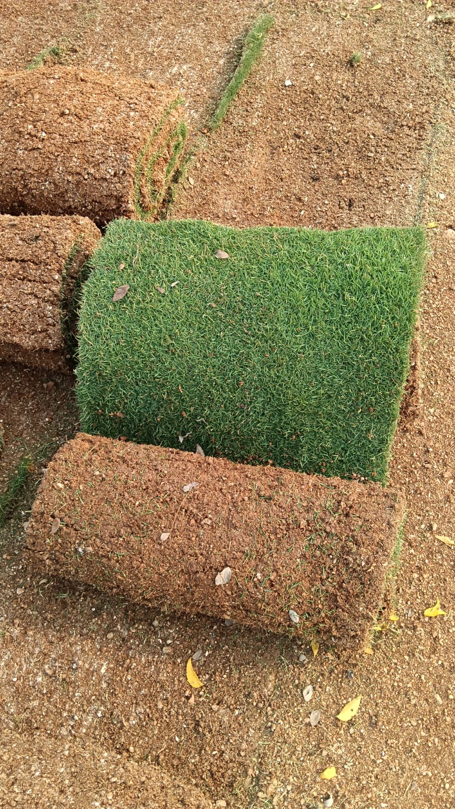 image1