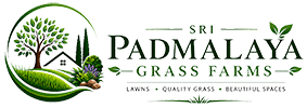 Sri Padmalaya Grass Farms